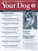 Your Dog